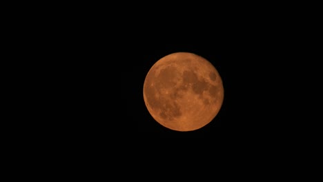 Luna-Cosecha-Llena-Brillante-Super-Negro-Noche-Cielo-Aislado