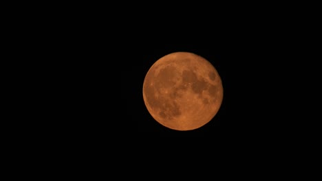luna cosecha llena brillante super negro noche cielo aislado