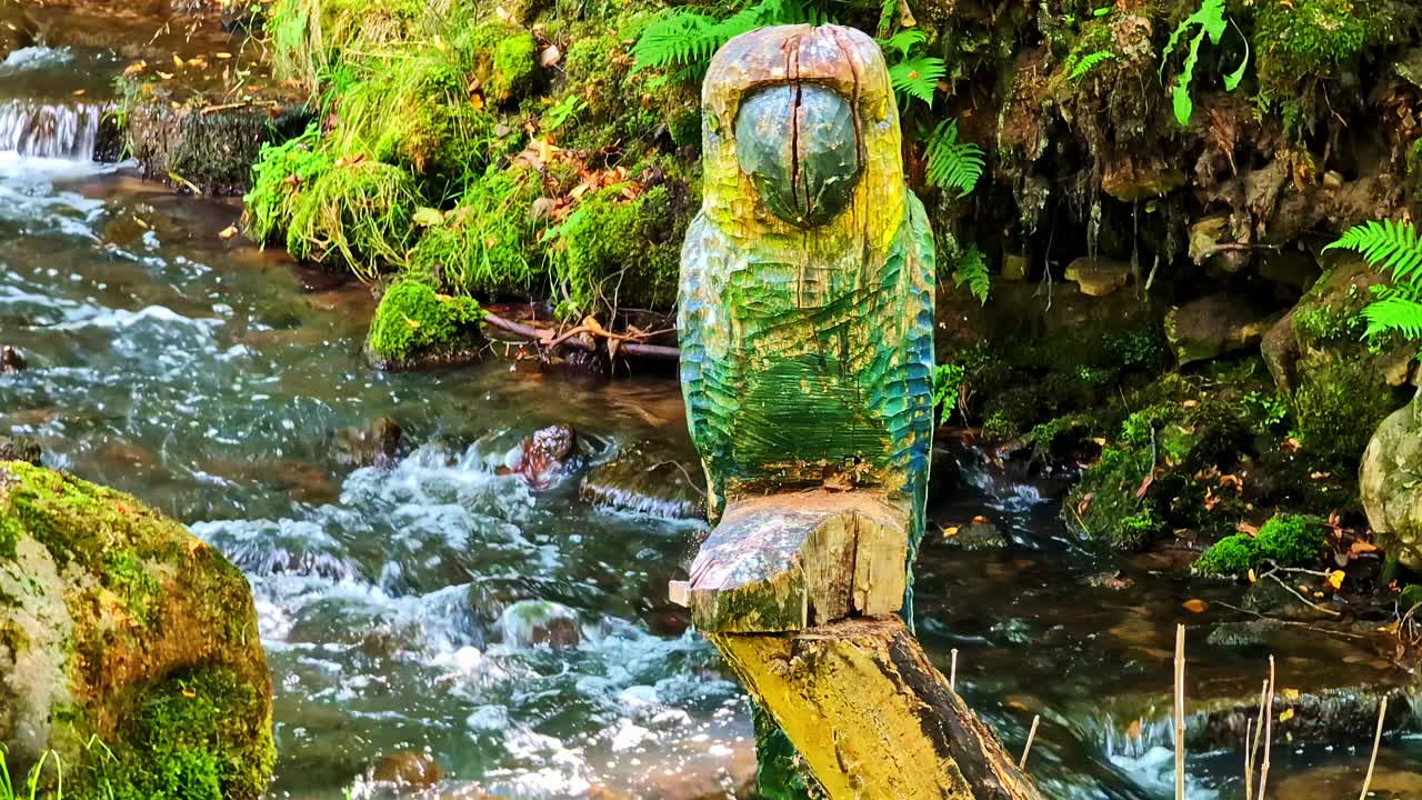 Carved Wooden Parrot Sculpture Over Stream in Mossy Forest With Flowing Water