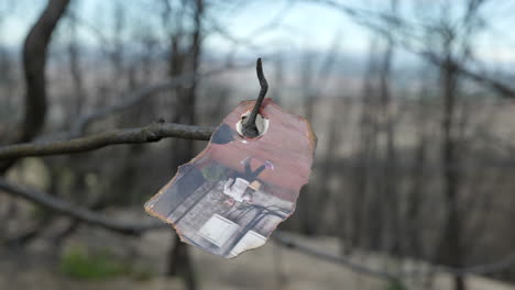 recuerdos quemados después de un incendio forestal
