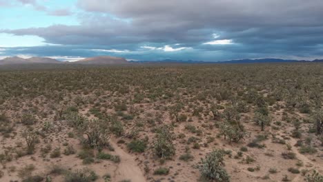 Antena-Del-Desierto-Fuera-De-Prescott,-Arizona,-Estados-Unidos