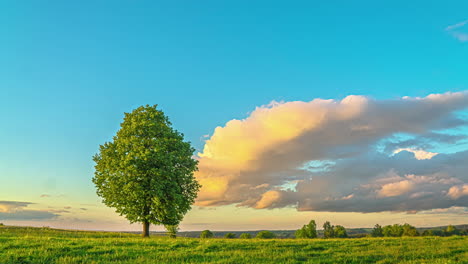 Puesta-De-Sol-Colorida-Con-Un-árbol-En-Un-Prado-Rural-En-Verano---Lapso-De-Tiempo-Pintoresco