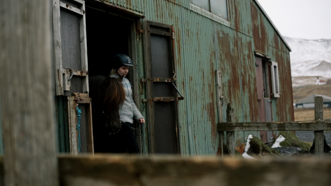 Woman leading Icelandic horse at a stable