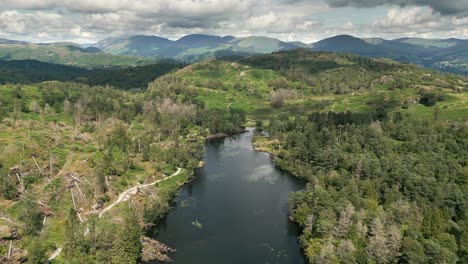 Weitläufige-Drohnen-Luftaufnahmen-Des-Nationalparks-Tarn-Hows-Lake-District-England-Großbritannien-An-Einem-Schönen-Sonnigen-Sommertag