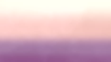 vibrant purple and pink gradient background - versatile and eye-catching