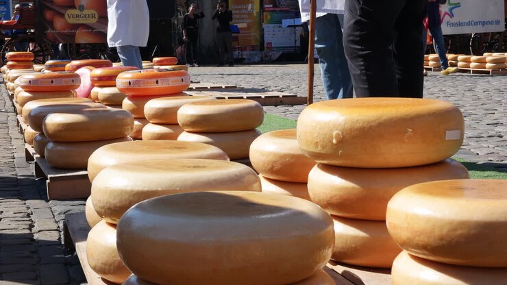Gouda Cheese Market - Piles Of Dutch Cheese Wheels Selling On A Sunny Day In Gouda, Netherlands
