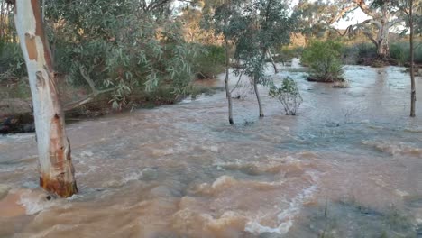 fast running water in a flooded creek