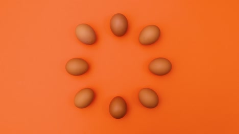 creative moving dance of fresh eggs in circle on orange theme. stop motion