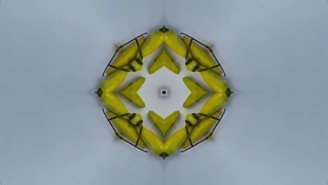 kaleidoscope