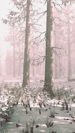 snowy forest scene