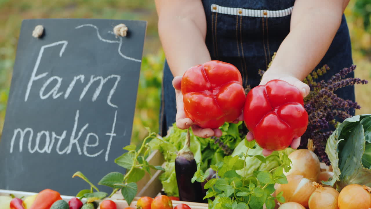 농부의 손은 야채와 함께 카운터의 배경에 두 개의 큰 달콤한 고추를 들고 있습니다