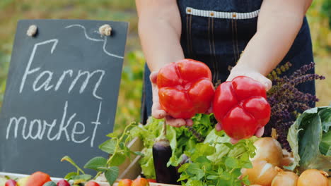 farmer's hands are holding two large sweet red peppers on a background of a counter with vegetables