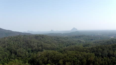 Spring-Forest-With-Deciduous-Trees-In-Misty-Glass-House-Mountains,-Sunshine-Coast-Region,-QLD-Australia