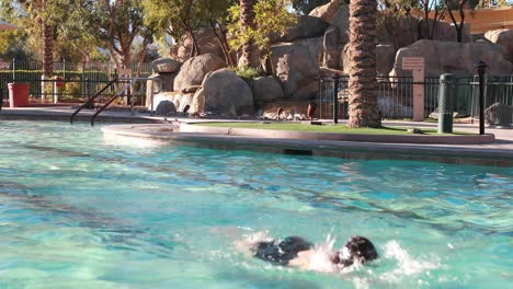 a swimmer swims laps in the pool