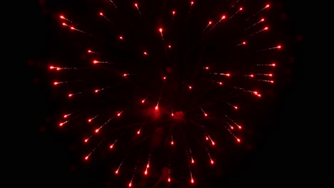 streaks and flashes of bright colorful night explode and illuminate the black night sky during fireworks display