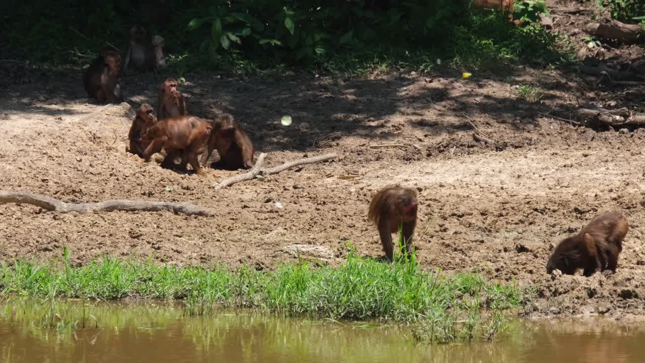 연못 가장자리에서 두 사람이 미네랄을 먹고 한 사람은 왼쪽으로 가고 다른 사람은 그늘 아래에서 쉬고 있습니다.