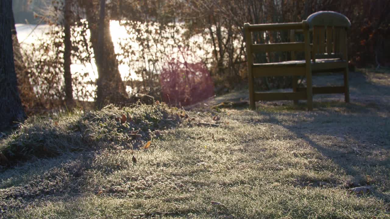 벤치와 잔디에 아침 이슬