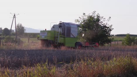 statische opname van een oogster die aan het werk is op een veld bij zonsondergang in slow motion
