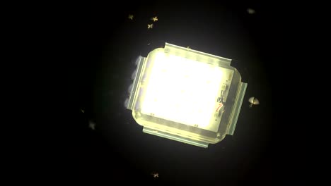 post led panel de luz con mosquitos volando en la oscuridad