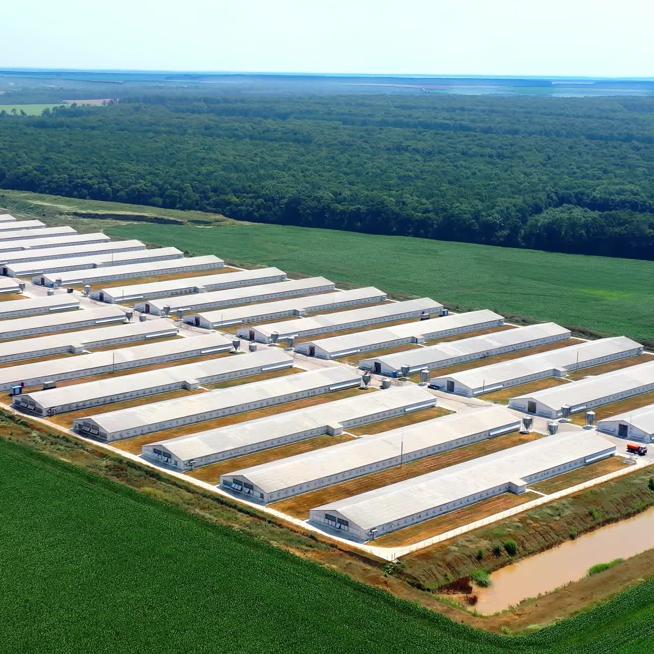 White farm buildings on field. Farming business territory near green field. Modern agriculture surrounded by beautiful summer nature at day time. Aerial view