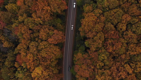 Vista-De-Pájaro-De-Los-Autos-Que-Pasan-Por-Un-Camino-Forestal-Con-Copas-De-árboles-De-Color-Otoñal