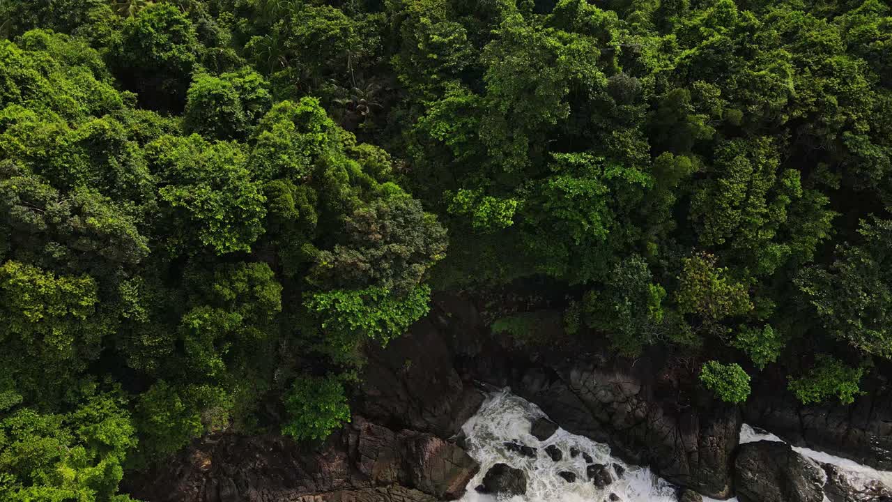 vista aérea de pájaro sobre un exuberante dosel verde en la copa de un árbol salpicado rocoso paisaje costero inclinado hasta el horizonte de tailandia