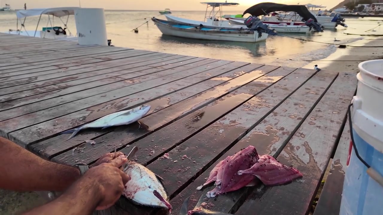 Primo piano autentico di un pescatore esperto che prepara il pescato fresco su un molo rustico durante l'ora d'oro nell'arcipelago di Los Roques