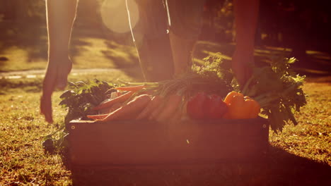 man carrying box of vegetables