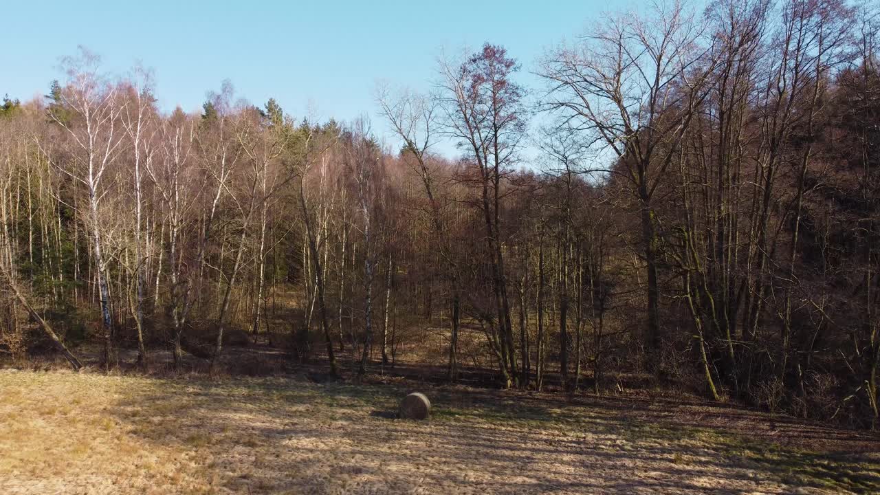Volando sopra un bellissimo prato con balle di fieno e foresta sullo sfondo.