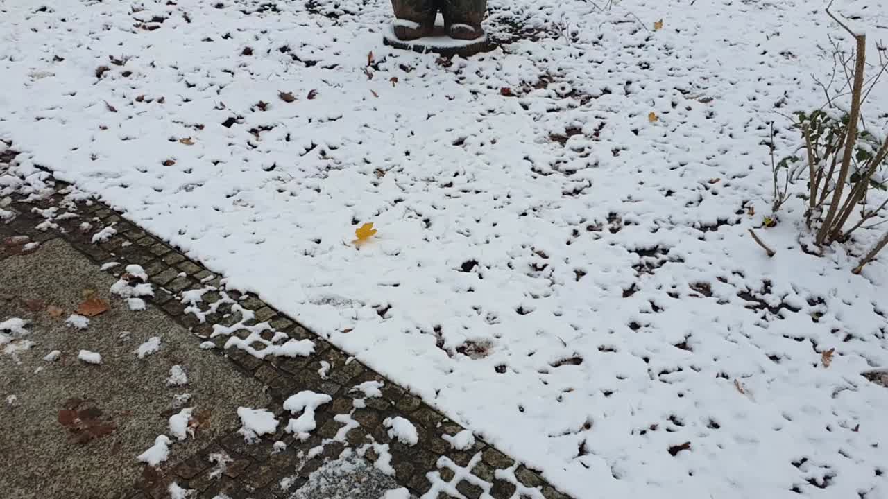 눈으로  ⁇ 인 못생긴 동상으로 오른쪽으로 대각선 판 베를린 겨울에 공원에서 hasendheid 눈으로  ⁇ 인 hd 30 fps 5secs