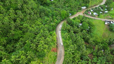 white van driving through empty, scenic road in the middle of tropical island setting with lush palm trees and villages