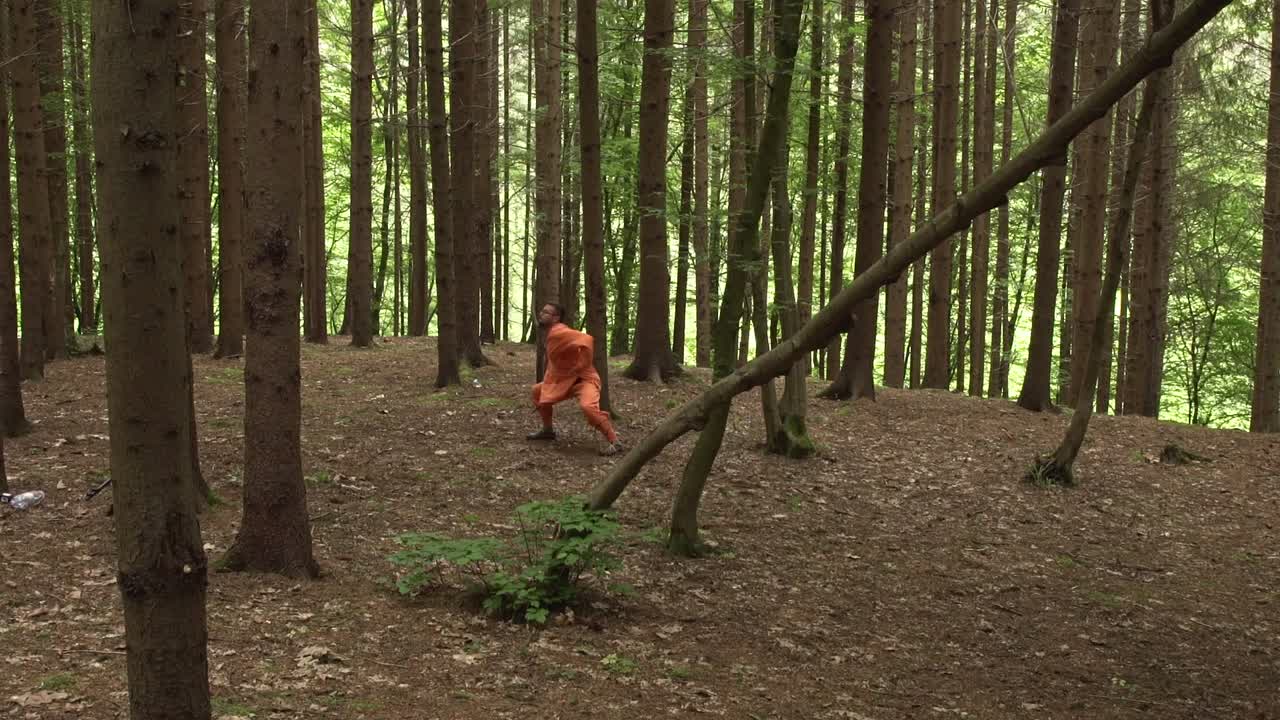 Man Performing Kung Fu Moves In The Forest With Tall Trees. - wide shot