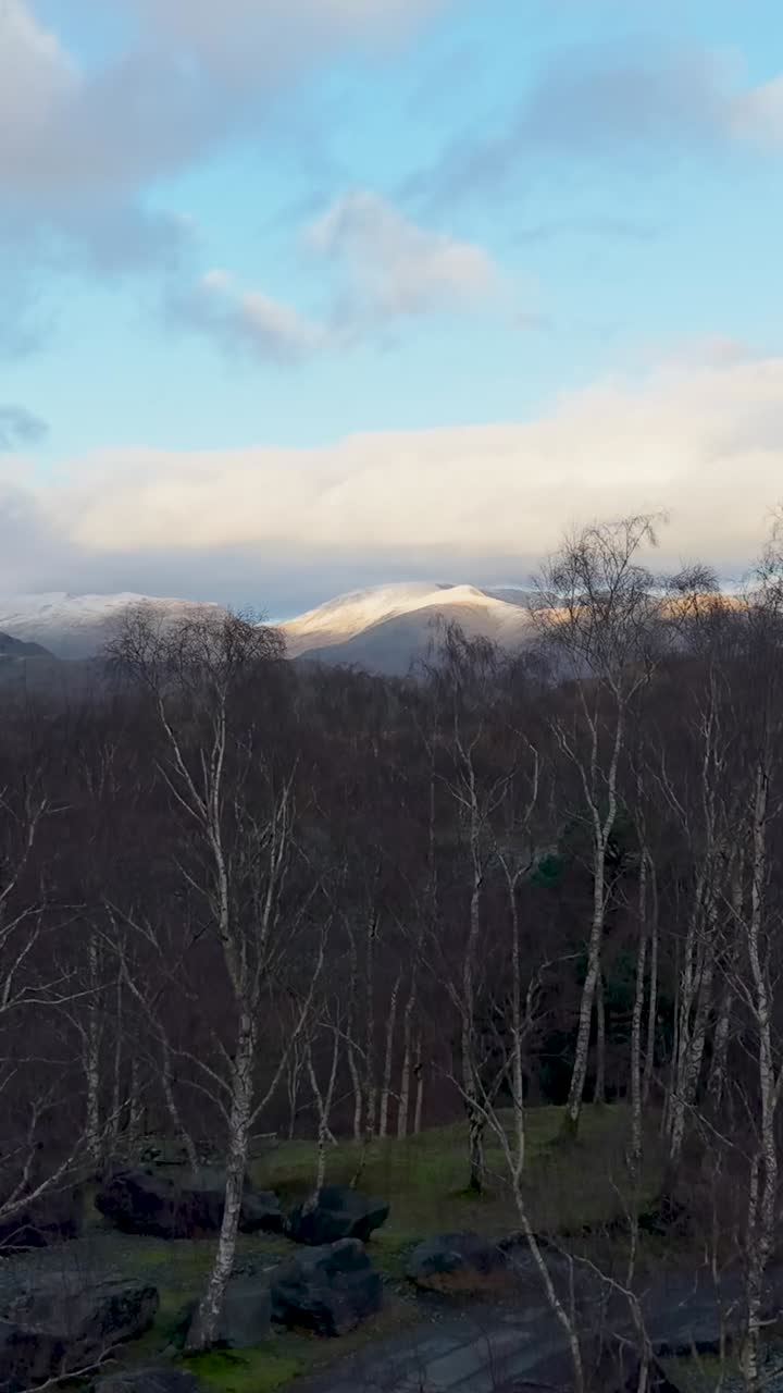 Vertical drone rises along a quiet path lined by bare winter trees, revealing distant mountains where sunlight breaks through clouds over the scenic landscape