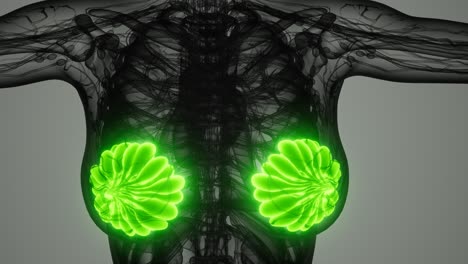 exploración médica del cáncer de mama de la mujer