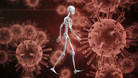 animation of human skeleton walking over covid 19 cells floating