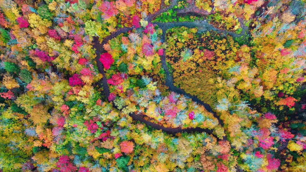 생생한 동화 가을 풍경