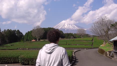 turista masculino caminando por campos de té verde en japón con el monte fuji en la espalda
