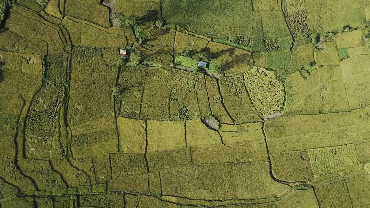 aerial view of greenery paddy farmland in Kathmandu, Nepal.