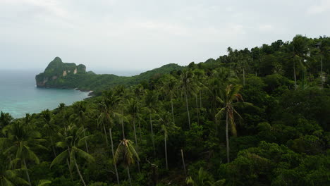 Aufschlussreiche-Tropische-Phi-Phi-Insel,-Unberührtes-Tropisches-Paradies