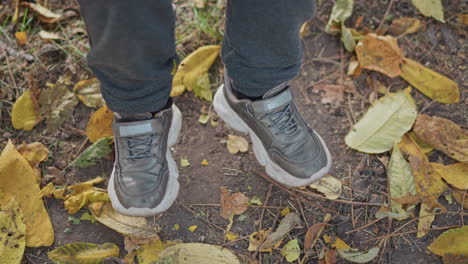 close up leg view of child wearing grey jogger pants and chunky sneakers standing on ground strewn with golden autumn leaves and pine needles in park with rustic bark texture background