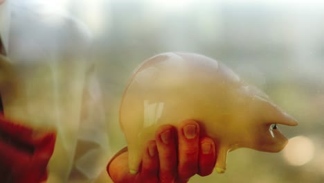 reflection of a man putting coins into a piggy bank