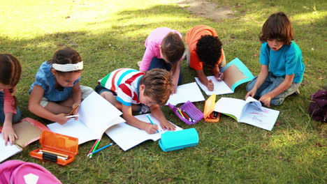 school children doing homework on grass