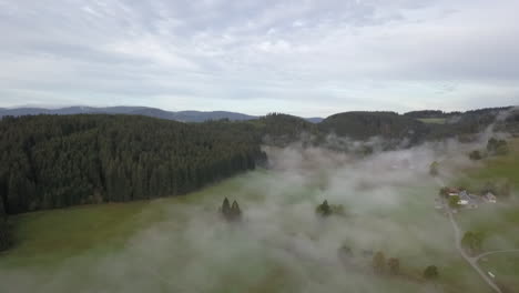 Aerial-slowly-rises-above-picturesque-lush-green-valley-in-morning-fog