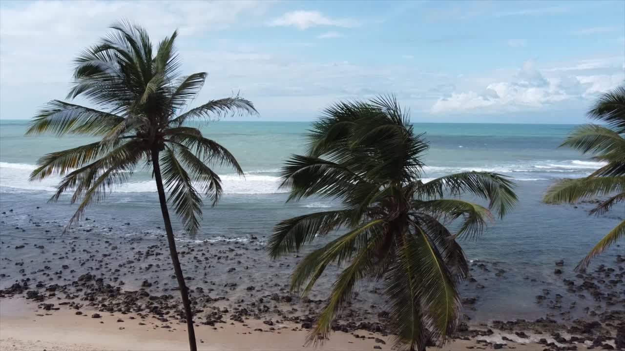 조수 웅덩이가 내려다보이는 브라질 해변의 야자수를 가로지르는 느린 냉기