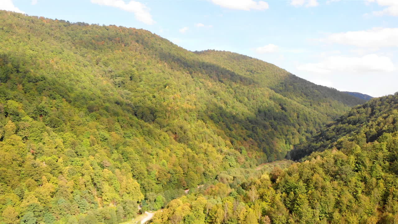 Drone footage over Large forest in Europe