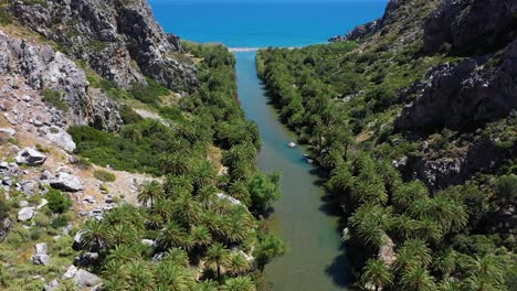 el amplio valle entre dos montañas en el bosque de palmeras de vai - creta, grecia