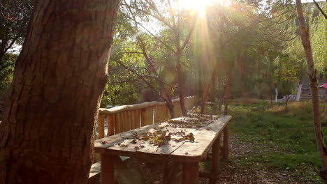 mesa de madera con banco por río en jardín bañado en colores otoñales