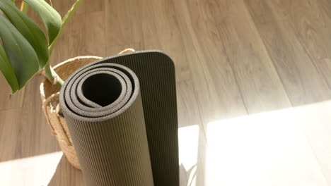 A-rolled-up-yoga-mat-rests-next-to-plant-and-basket