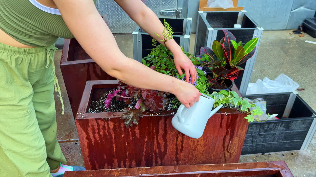 Una donna innaffia le piante in un'aiuola in un contesto urbano durante il giorno, curando diverse varietà di verde e fiori.