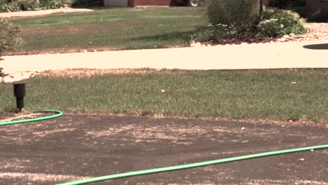 Sprinkler-opening-up-to-water-a-slim-patch-of-grass